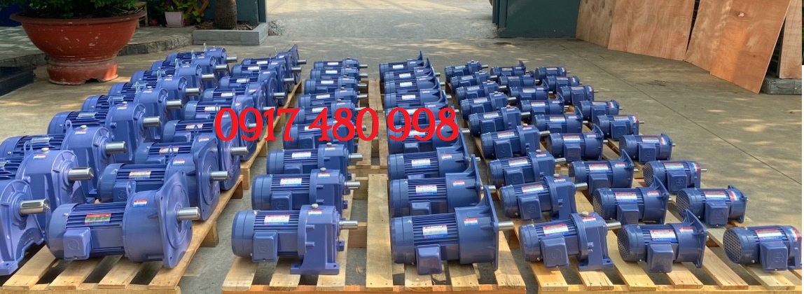 MOTOR GIẢM TỐC TUNGLEE, TAIWAN