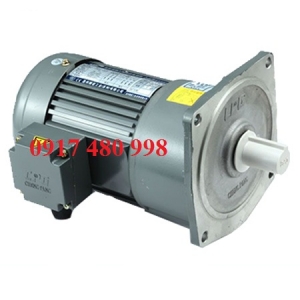 MOTOR GIAM TOC CPG MẶT BÍCH
