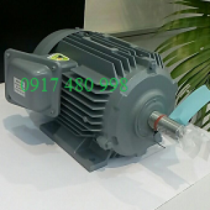 MOTOR HITACHI TFO