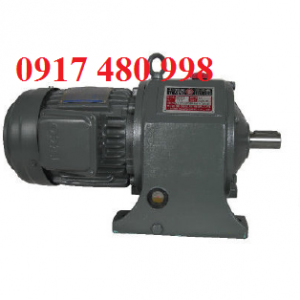 MOTOR GIAM TOC LIMING