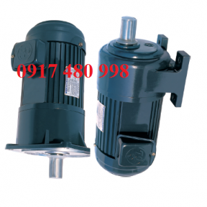 MOTOR GIAM TOC DOLIN