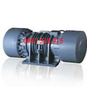 Motor rung Uras Vibrator