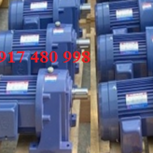 MOTOR GIAM TOC TUNGLEE